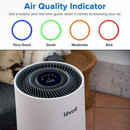 h13 pollen levoit allergies hepa mold eliminators odor h134