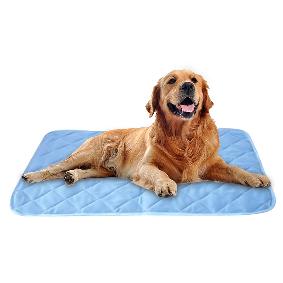 portable dog mat