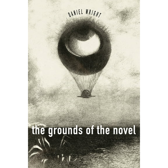 The Grounds of the Novel (Hardcover)