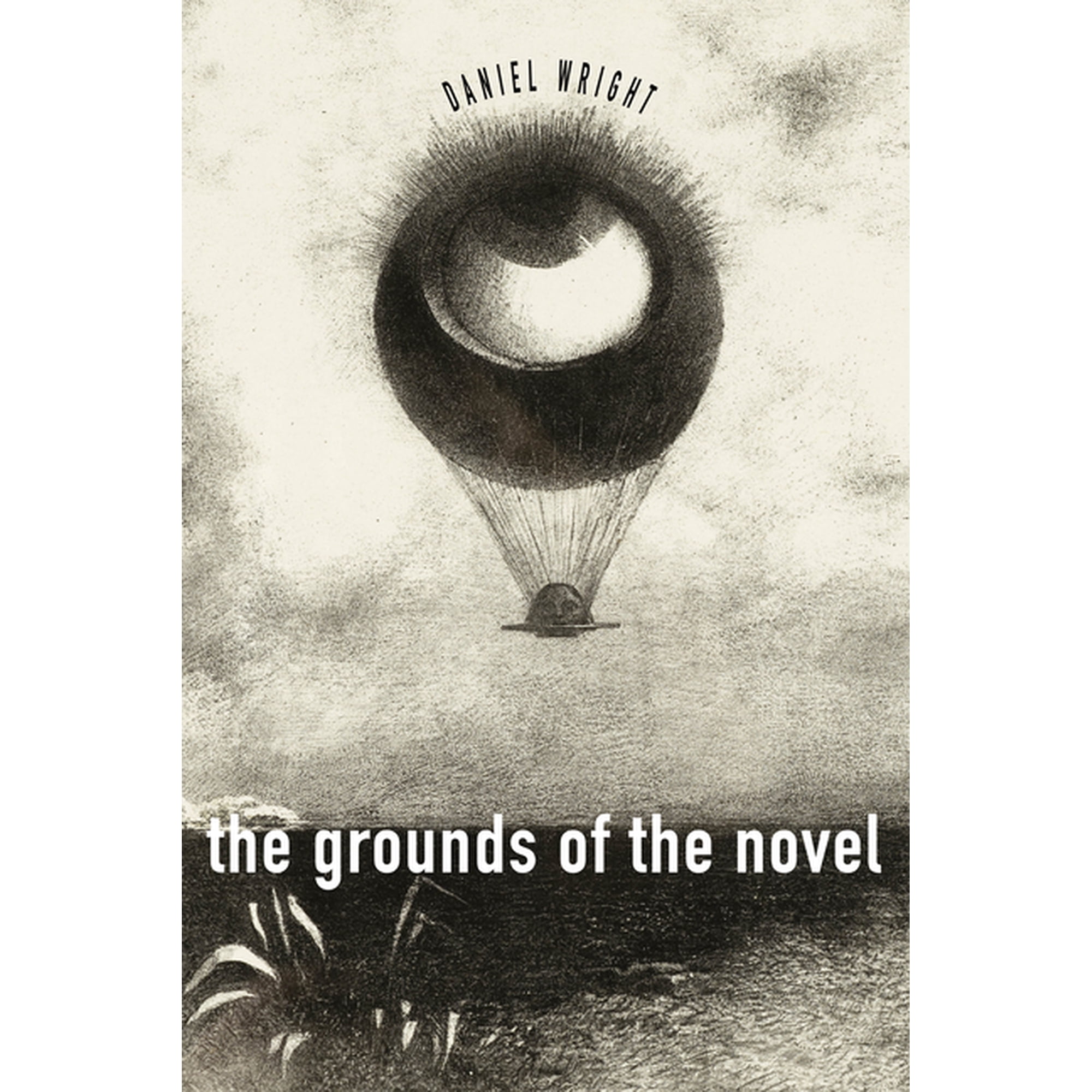 The Grounds of the Novel (Hardcover)