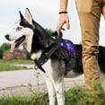 thumbnail image 3 of MASBRILL No Pull Dog Harness, Reflective Dog Vest with Handle No Choke Soft Padded Dog Harness for Small Medium Large Dogs, 3 of 8