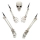 thumbnail image 1 of Hueso de mano esqueleto de 5 piezas para decoraciones de Halloween, 1 of 3