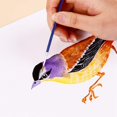 thumbnail image 3 of Juego de Pinceles Pintura Artista Colorido 30 Piezas, IniciacióN para NiñOs Acuarela, Herramienta Dibujo, 3 of 5