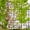 71#Black, variant on DUOSONG Metal Garden Arch Assemble Freely With 8 Styles Garden Arbor Trellis Climbing Plants Support Rose Arch Outdoor Arch Wedding Arch Party Events Archway Cream White Cream White Iron Garden &