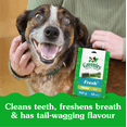 thumbnail image 3 of Greenies Fresh TEENIE Oral Care Natural Dental Adult Dog Treats Small, 3 of 14