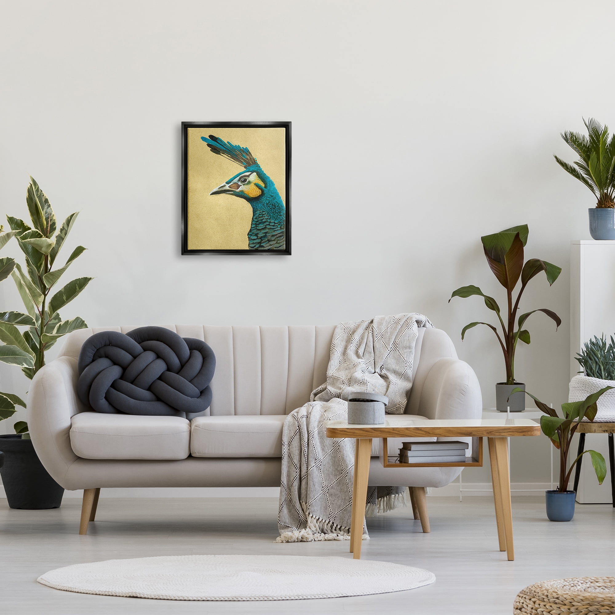 Stupell Industries Peacock Looking Left Animals & Insects Painting Black Floater Framed Canvas Art Print Wall Art, 17 x 21