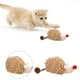 thumbnail image 1 of Juguetes interactivos para gatos Juguete interactivo chirriante para gatos Juguete masticable para mascotas （E）, 1 of 7