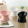 thumbnail image 4 of Raised Cat Food Bowl - Tilted Ceramic Pet Bowls for Comfort Elevated Feeder, 4 of 8