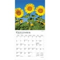 thumbnail image 4 of Sunflowers | 2026 7x14" (Hanging) Monthly Mini Wall Calendar | BrownTrout, 4 of 9