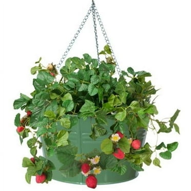 Houston International Trading 8495E SA Enameled Galvanized Hanging Strawberry & Flower Planter, Sage