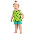 thumbnail image 1 of Infant Classic Flintstones Pebbles Costume, 1 of 7