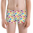 thumbnail image 5 of Yiaed Colorful Dinosaurs Print Boys' Boxer Briefs Cotton Casual Stretch Comfort Boys Boxers - Kids Boxer Briefs Underwear for Boys (6-18)-X-Large, 5 of 5