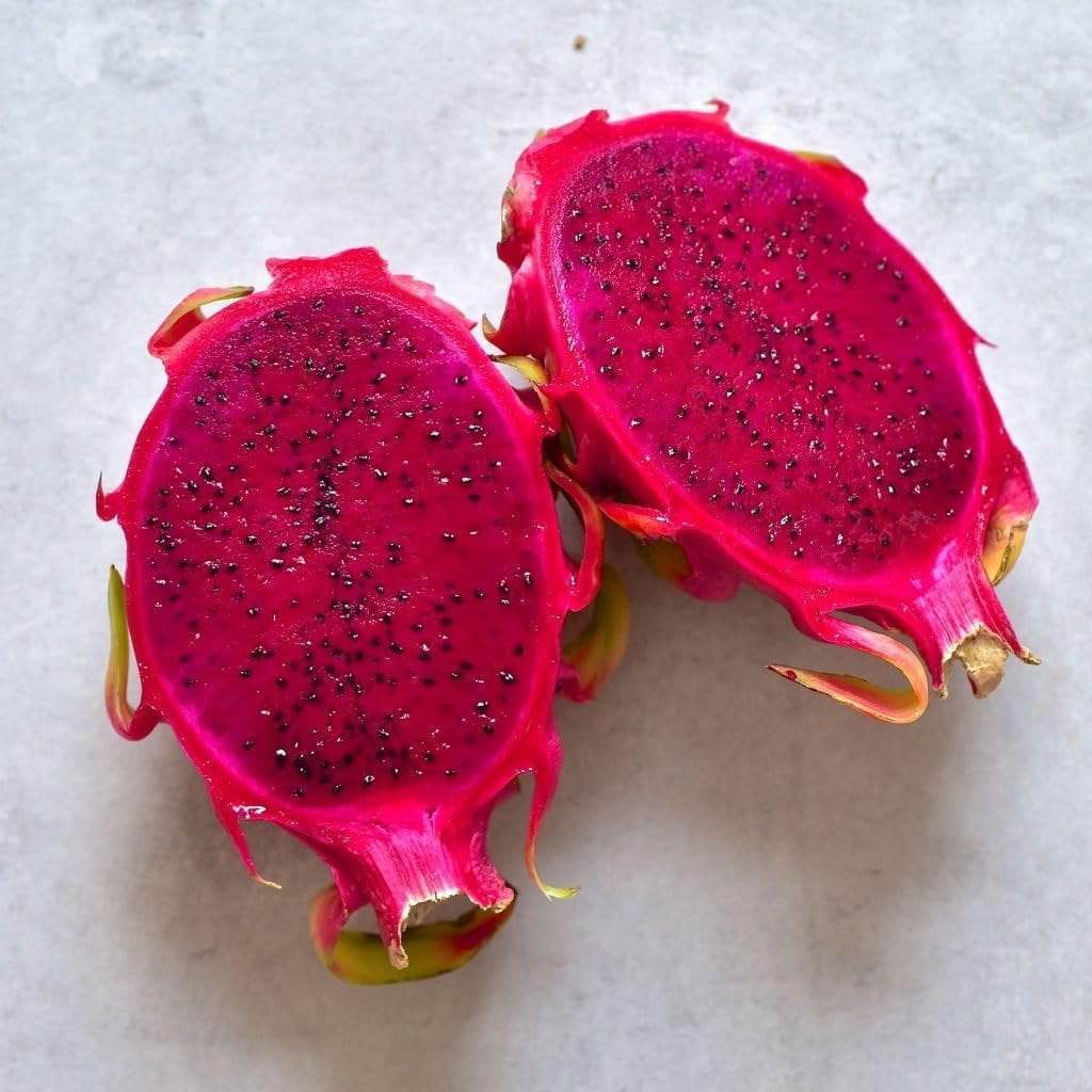 Edgar's Baby Dragon Fruit Tree - 4 Live Starter Plants - Hylocereous Undatus - Edible Tropical Fruit Plant from Florida