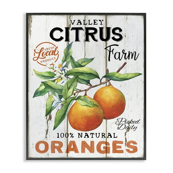 Stupell Industries Retro Citrus Farm Food & Beverage Painting Black Framed Art Print Wall Art, 11 x 14