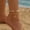 AK-337, variant on Gold Ankle Bracelets for Women Waterproof Starfish Shell Charm Anklets Trendy Summer Beach Jewelry