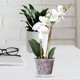 thumbnail image 3 of 1 Set of Plastic Flowerpots Gardening Flowerpots Flower Nursery Pots Plant Cups, 3 of 3