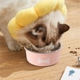 thumbnail image 7 of Dog Bowls Cat Bowls Pet Bowls Slow Feeder Anti Choke Spill Proof Non Slip Plastic Dog Food Bowl Cat Food Bowl for Small Large Dogs Cats Indoor by PALIFEUR, 7 of 7