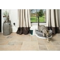 thumbnail image 7 of Simply Clean Automatic Litter Box - Self-Cleaning - Perfect for Multiple Cats - Works with Clumping Litter, 7 of 7