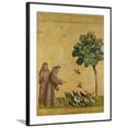 thumbnail image 1 of St Francis of Assisi Preaching to the Birds, Animals Religion Framed Art Print Wall Art by Giotto di Bondone Sold by Art.Com, 1 of 5