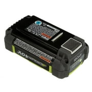 Ryobi RY40200 Trimmer Replacement 40V Slim Battery # 130186006