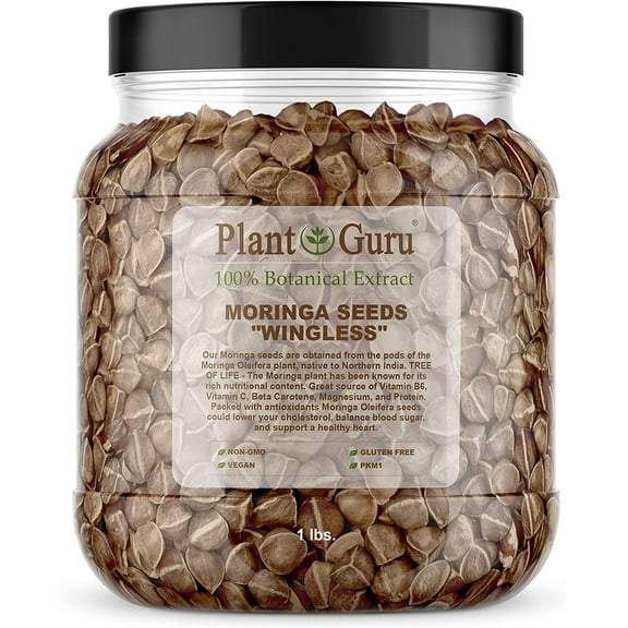 Plant Guru 2000 Moringa Wingless Plant Seeds, Non-GMO