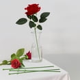 thumbnail image 4 of unbranded 30Ud Tallo Para Flores Artificiales Con Acabado Natural Ideal Para Bodas Y En Casa, 4 of 8