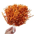 thumbnail image 3 of LOLIPPYY 10pcs Cheer Accessories Pom Poms Cheerleading Golden Round for Dancers, 3 of 8