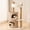Latte Brown, variant on Cat Tree Charcoal Gray Indoor Play and Nap Tower for Adult Cats