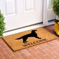 thumbnail image 2 of Calloway Mills 106981729 Irish Setter Doormat 17" x 29", 2 of 2