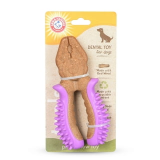 Arm & Hammer Rock-N-Roller Dog Chew Toy – MacroPetz