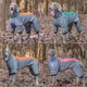 thumbnail image 2 of Mono impermeable para perros grandes, ropa para perros medianos y grandes, mono de invierno para mascotas, chaqueta para bulldog francés, disfraz para labrador., 2 of 6