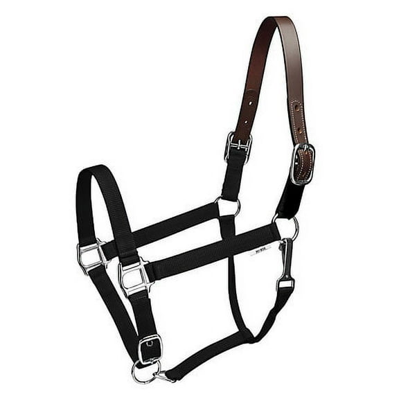 Gatsby Nylon Breakaway Halter Horse Black