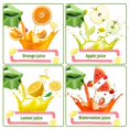 thumbnail image 3 of Exprimidor de frutas, exprimidor manual, exprimidor manual de frutas resistente, exprimidor de naranjas (verde), 3 of 5