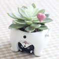 thumbnail image 5 of SweetCandy Cute Dog Shape Flower Sedum Succulent Pot Planter Bonsai Trough Box Plant Bed Office Desk Home Garden Pot Decor 4*3.7*2.75", 5 of 6