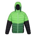 thumbnail image 1 of Regatta Veste Rembourrée pour Hommes Harrock II, 1 of 5