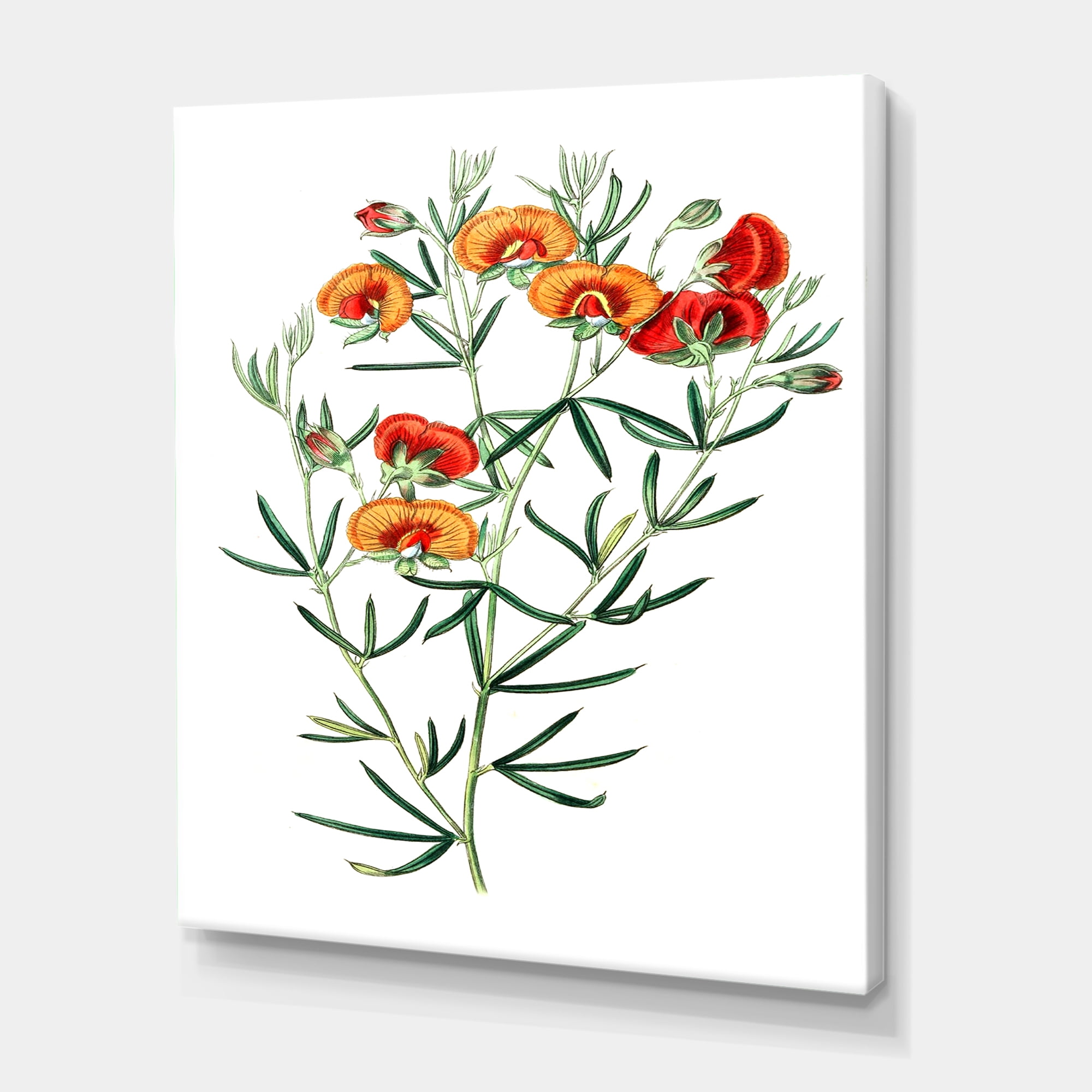 Designart ' Ancient American Flora VIII ' Traditional Canvas Wall Art Print