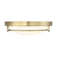 thumbnail image 5 of Trade Winds Felton 2-Light Flush Mount Ceiling Light in Natural Brass, 5 of 6