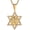 Pentagram, variant on 18K Gold Plated Lion Head Necklace Pendant for Men Stainless Steel Hip Hop Rock Lion King Necklaces Charm Animal Amulet Jewelry