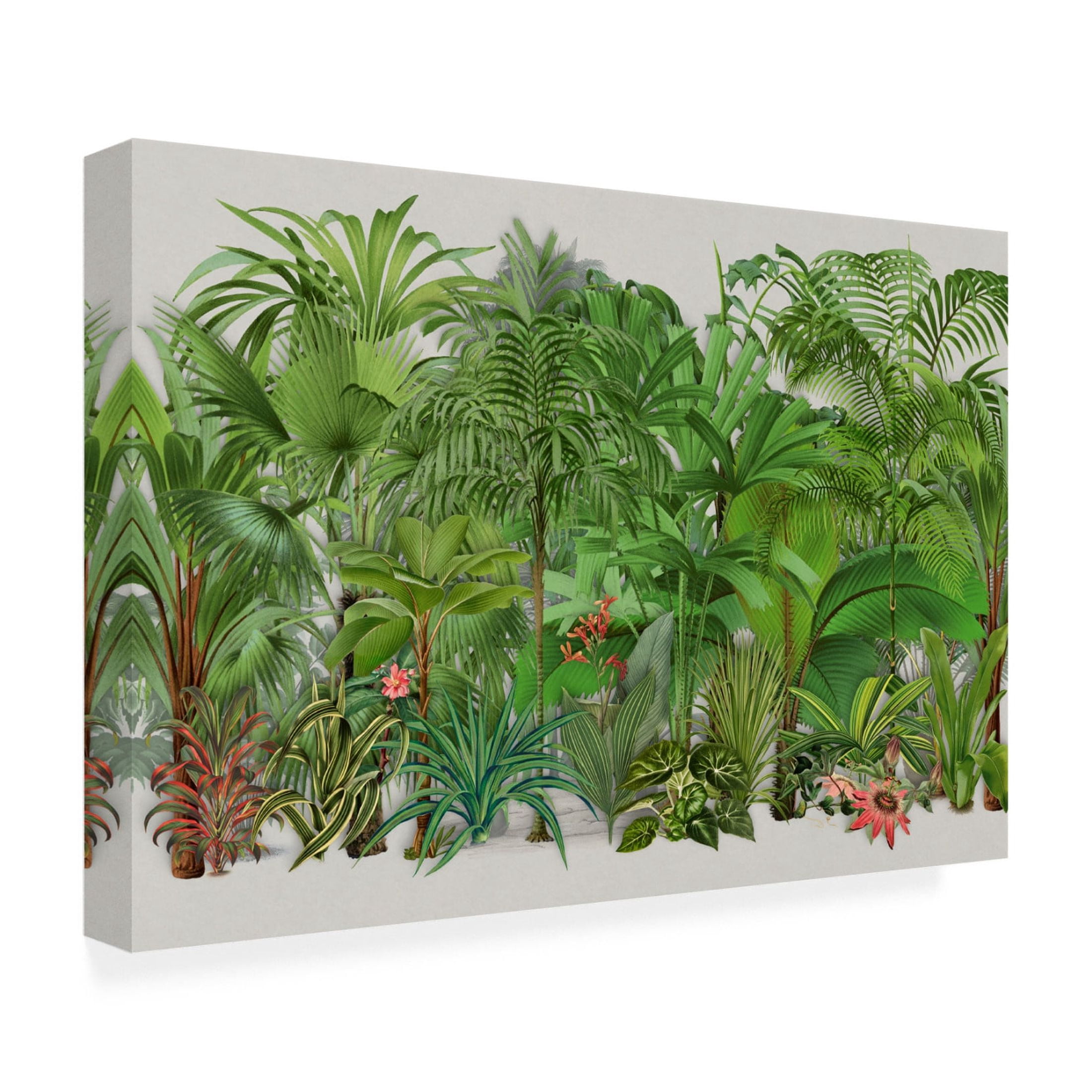 Trademark Fine Art Andrea Haase Exotic Wildlife 003 Canvas Wall Art