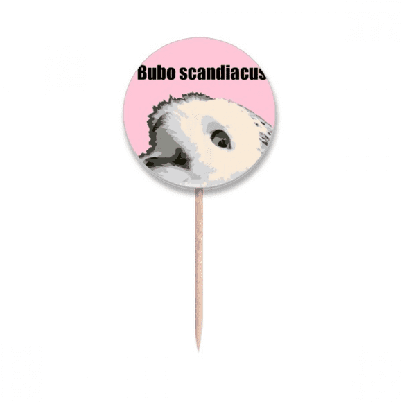 Bubo Scandiacus Bird White Toothpick Flags Round Labels Party Decoration