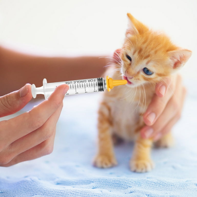 Syringe How To Get A Newborn Kitten To Bottle Feed Miracle Nipple