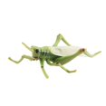 thumbnail image 1 of Beetle Model Decoration Dragonfly Frog Eco-friendly Insect Beetle Statue Model Desktop Decoration, 1 of 5