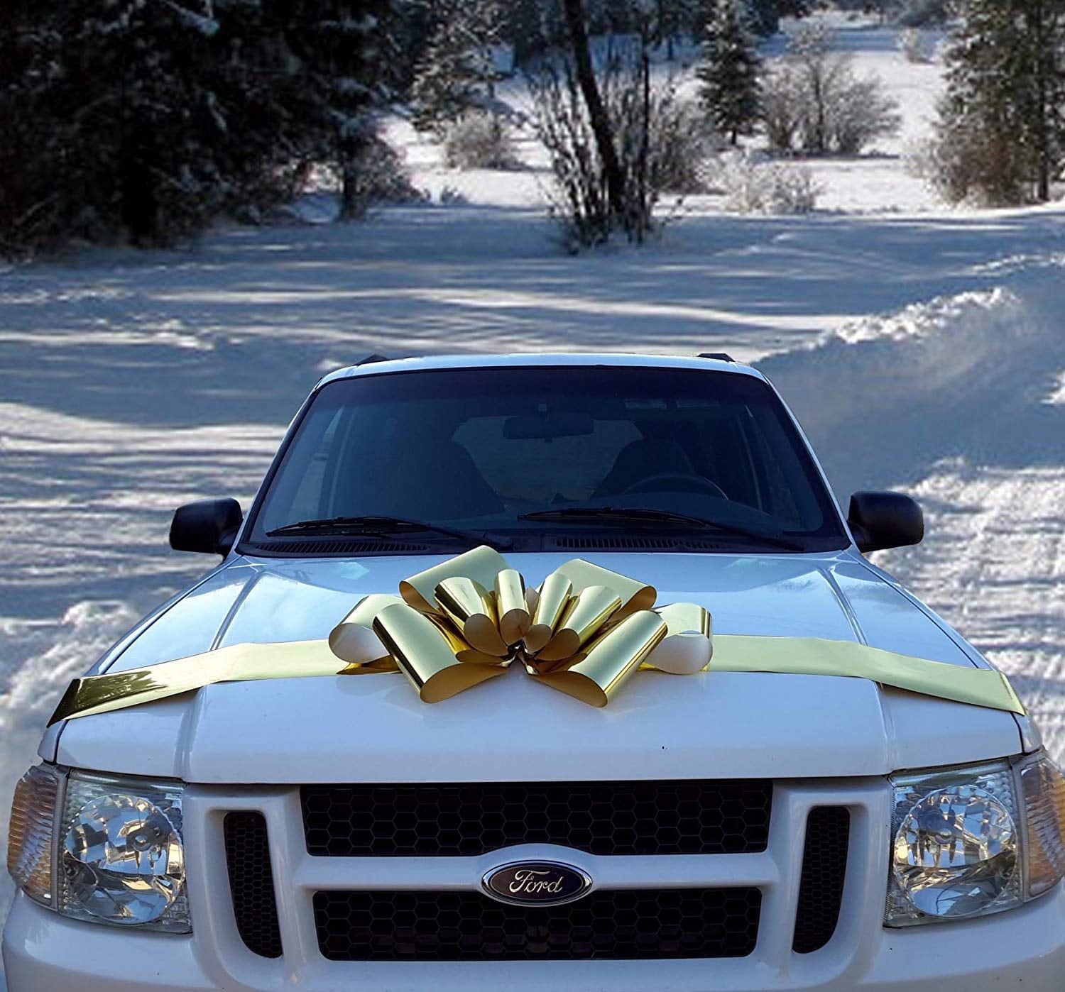 Big Metallic Gold Car Bow - Fully Assembled, 25" Wide, Fall, Christmas, Gift Bow, Mardi Gras, Birthday, Graduation