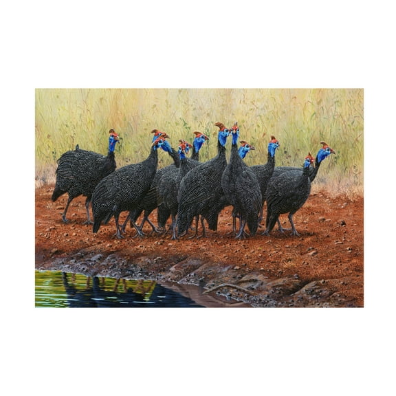 Canvas Wall Art - Delene Lambert 'Guinea Fowl Jive Talking' Wall Art for Living Room, Bedroom, or Office Décor by Trademark Fine Art - 19 x 12 Inches