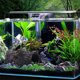 thumbnail image 4 of Decoración de acuario, pecera, cueva de roca, escondite de peces, decoración de pecera, cueva oculta para acuario, 4 of 4
