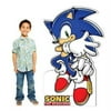 Sonic the Hedgehog Standup - 5' Tall