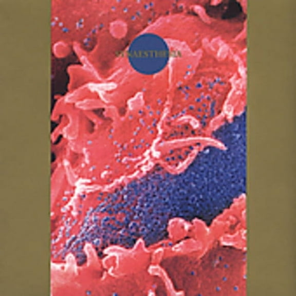 Death Ambient - Synaesthesia - Classical - CD