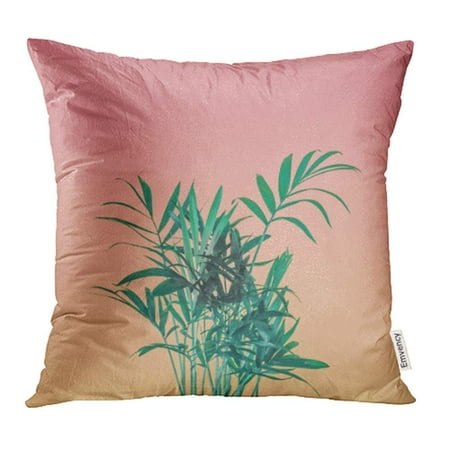 Greenery Trees USART Green Palm Tree Leaves on Pink Pastel Sky Minimal Greenery Concept Colorful Pillowcase Cushion Cover 16x16 inch ()