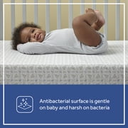 Sealy Butterfly Premium Firm Foam Crib Mattress and Toddler Mattress, Hospital-Grade Cover