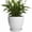 White, variant on Wliror 8 Inch Retro Blue Ceramic Plant Pot with Drainage – Vintage Round Planter for Indoor Plants, Succulents, Herbs